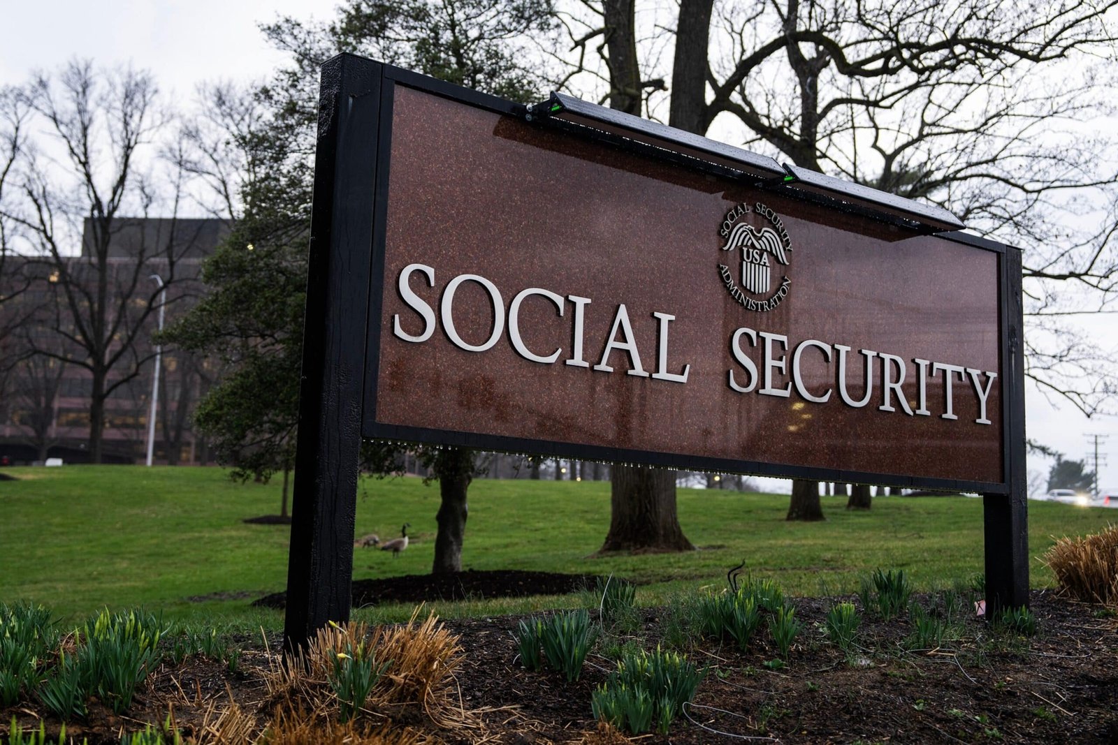 Photo: Social Security Signs
