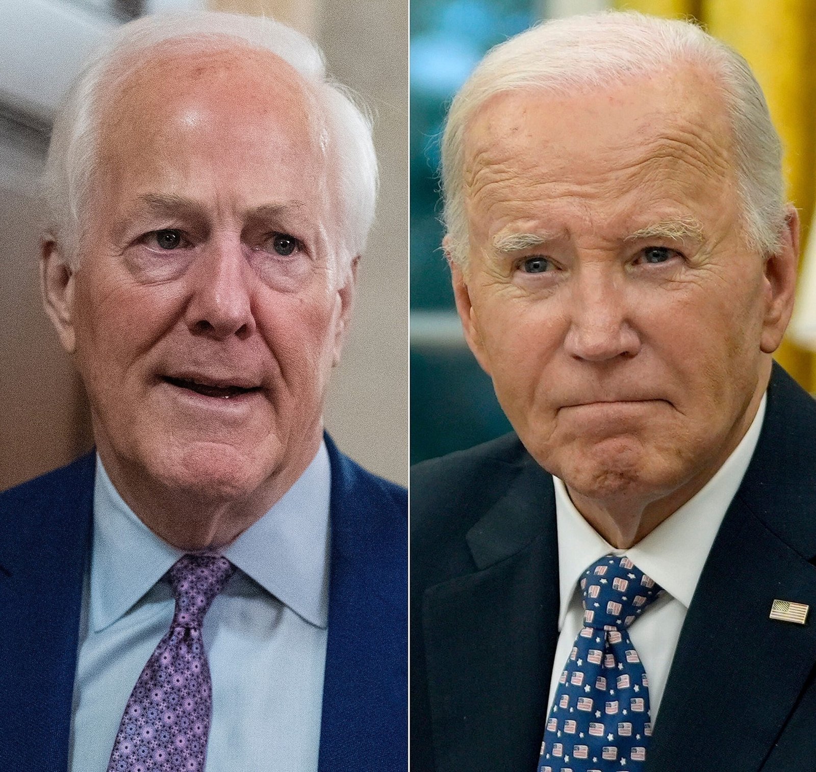 Senator GOP Session Plan Regarding Biden's Perception Cognitive Decrease

