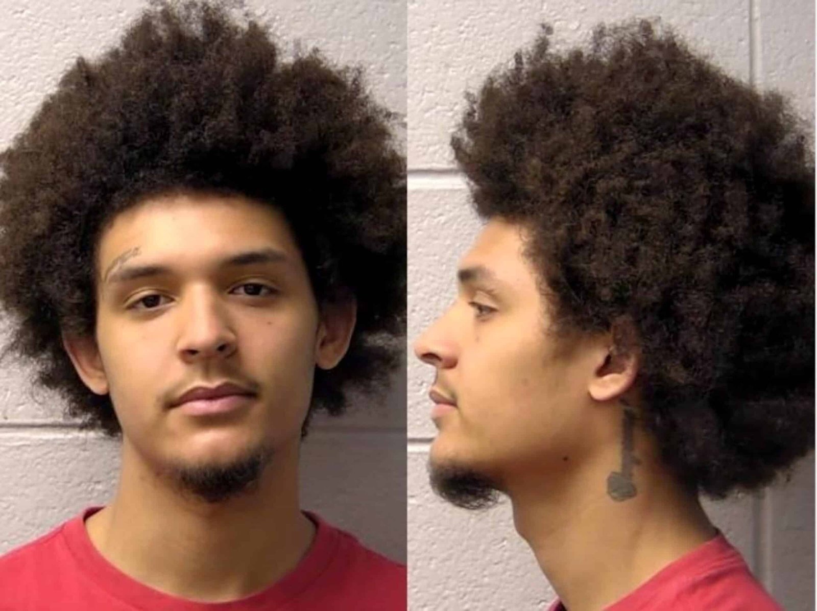 The woman was seriously injured after the alleged homophobic attack on Illinois McDonald's, Adult and Teenager was charged

