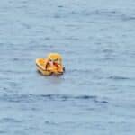Father jumped into the sea after the Princess fell from the Disney cruise ship