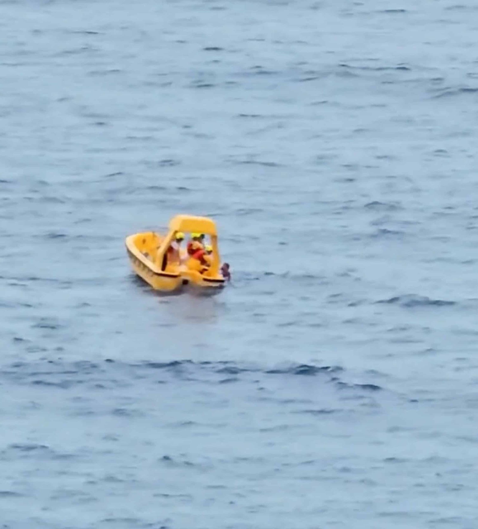 Father jumped into the sea after the Princess fell from the Disney cruise ship