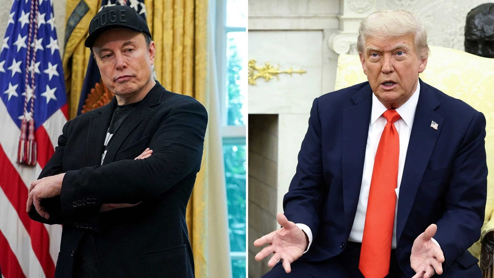 The feud of the trump deer makes some doge staff worry about their future: Source

