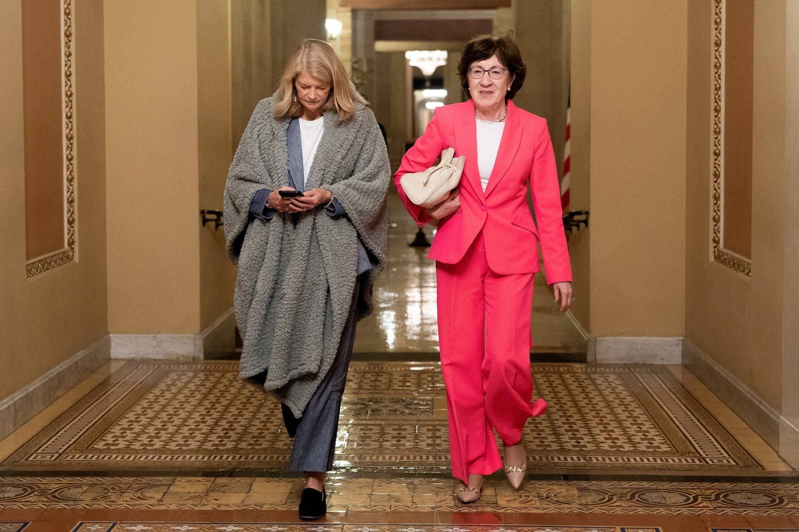 Republican senator who voted against Trump Agenda Bill and why

