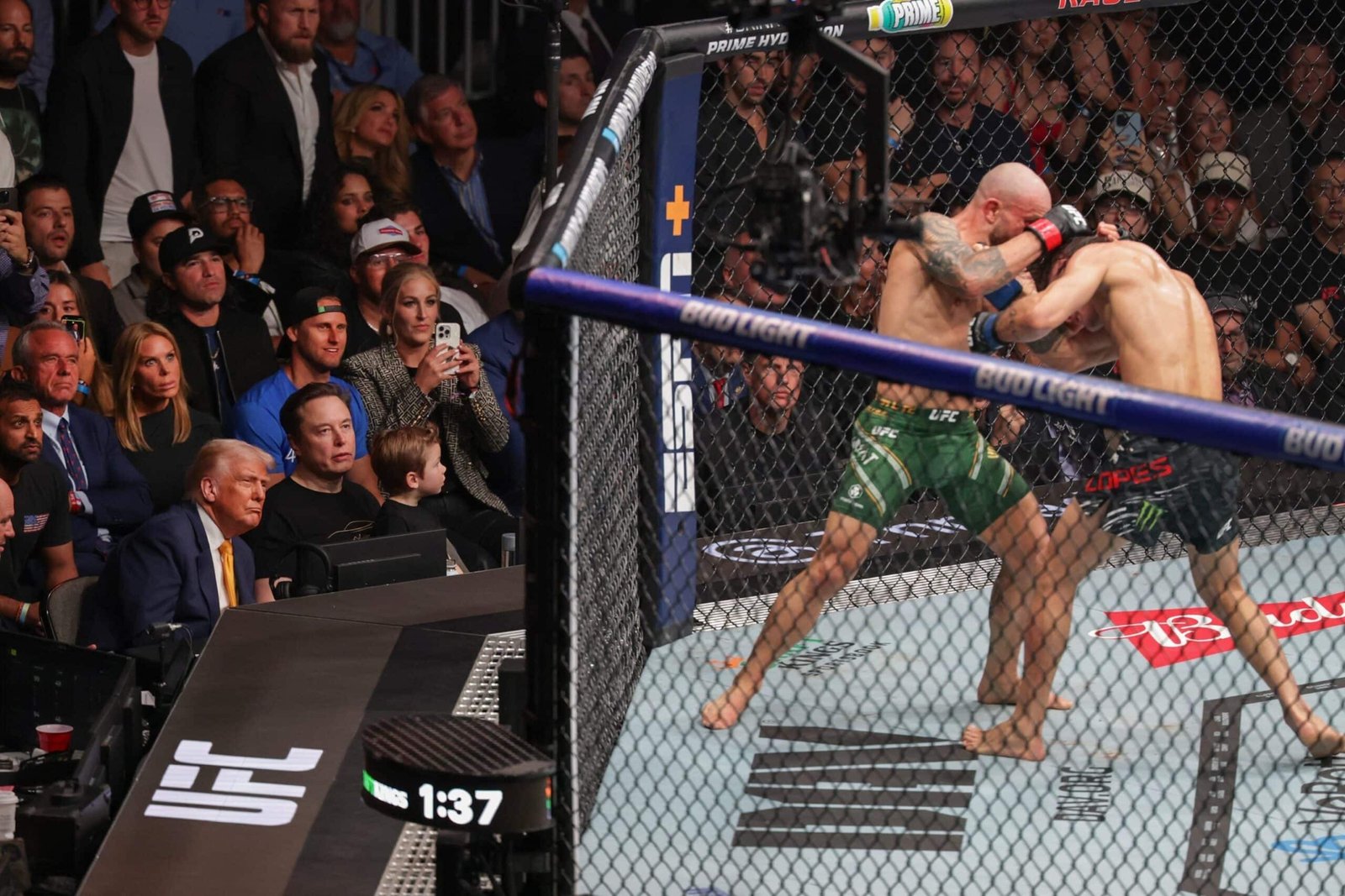 Trump proposed an UFC battle in the White House yard for the American 250th celebration